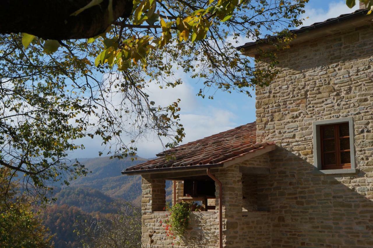 Frigino Agriturismo Pensionat Molino Abbadia Exteriör bild